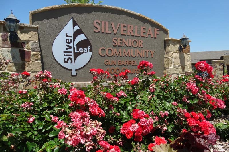 Silverleaf-01