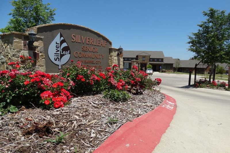 Silverleaf-02